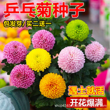 ƹҾջNļ_ױ̫ꖻ׷N҃⻨ԻN