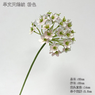 ��c���滨���^���Z�q ��ɫ��ɫ��Y������ܛ�b�ٻ����l�߼��л�