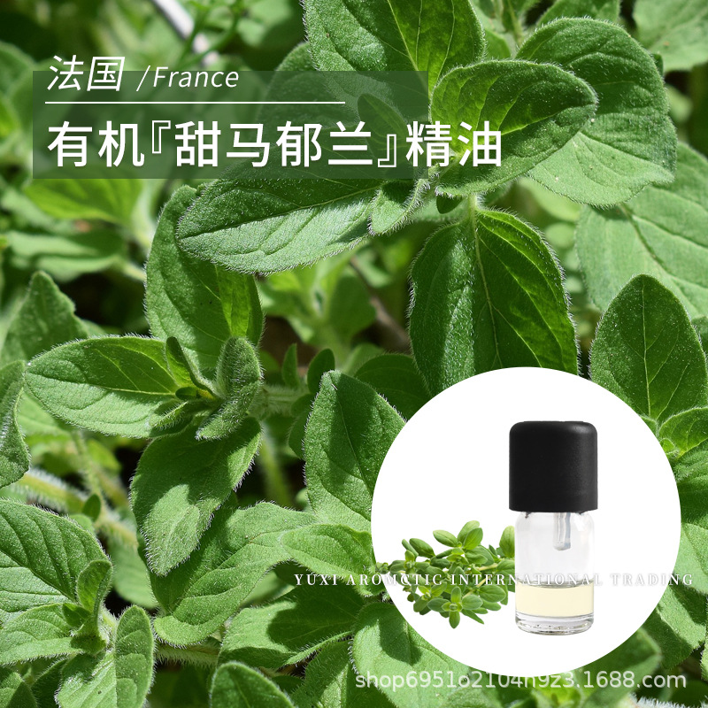 法国产地甜马郁兰蒸馏萃取Org清新香甜1ml单方有ji甜马郁兰精油