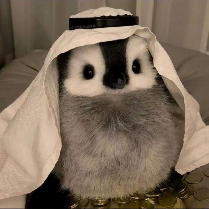 Simulación encantadora muñeca pingüino emperador juguetes de peluche pareja pingüino boda tirar muñeca tela de cumpleaños