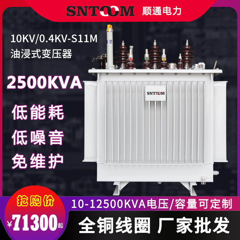 S11M大型工业油浸式电力配电杆上变压器 户外高压10kv全铜2500kva