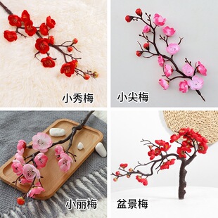 �S�����l����÷���D÷�t÷���ѻ���÷�������ٻ��һ����滨