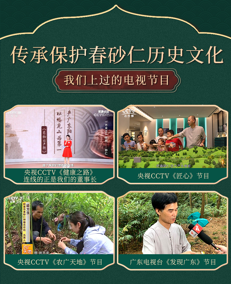 Yangchun Sha Ren Powder 10g Amomum villosum Ground Granules Traditional Chinese Herbal Spice specifications