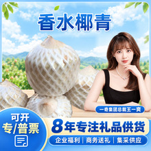 �����x��̩����ˮҬ�� һ�����l2������_Ҭ��֭Ҭ�Ӯ������rˮ��