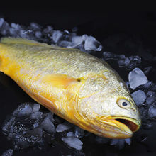 ����������S�~�S���~��؛���r���r��~���l���ˮ�a���]450g