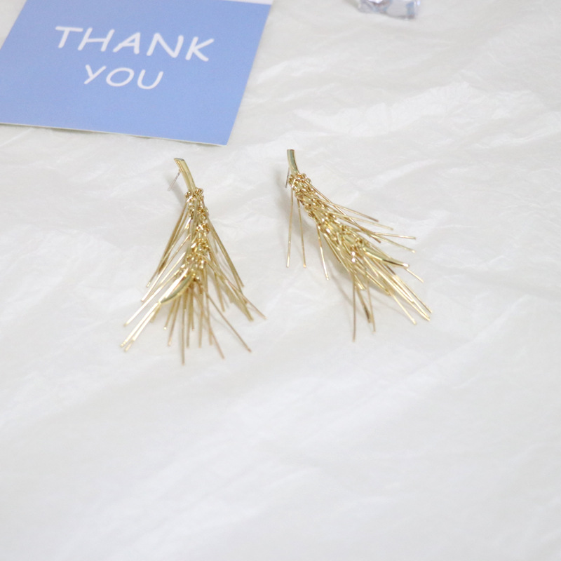 Fashion Geometric Symmetry Wheat Shaped Frosty Alloy Earrings display picture 12