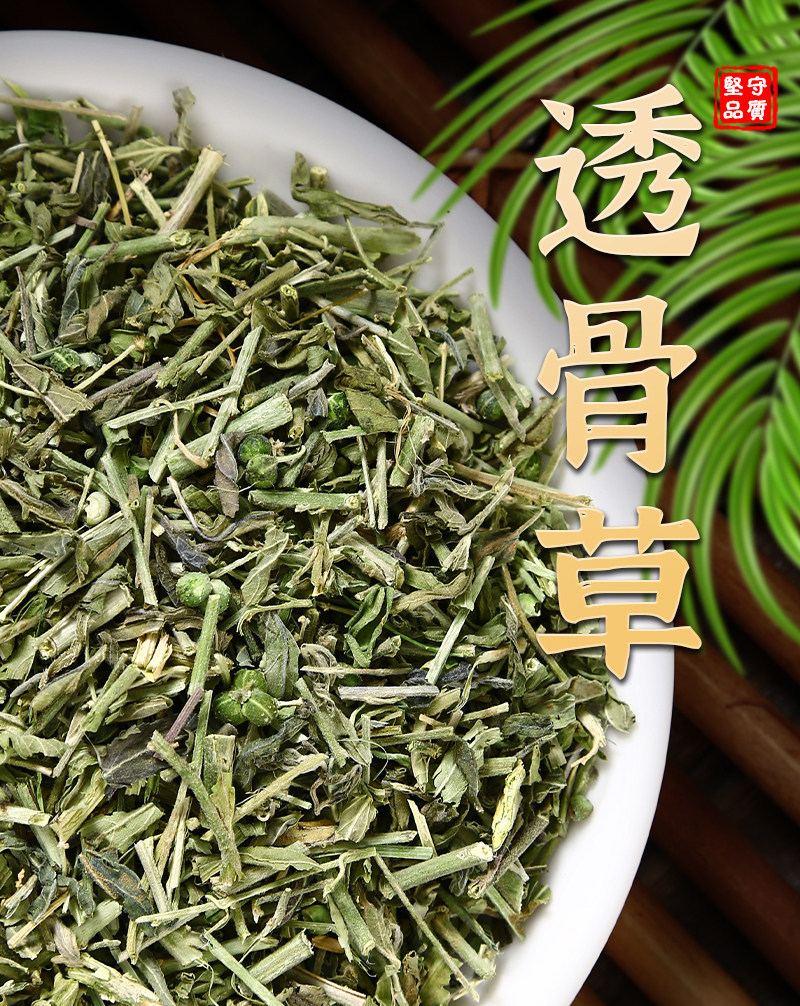 Tou Gu Cao透骨草 Wild Speranskia Herb 500g Dried Chinese Herbal Tea Material overview