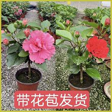 ����ľ���ļ�ĵ�����ذ��_���������l؛�ͺ��͟������̨��