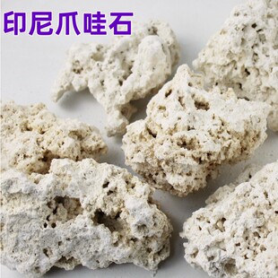 印尼爪哇石干岩石海缸造景石代替活石南海石珊瑚人工开采死石培菌-阿里巴巴