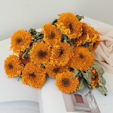 �ذ����տ��ɻ���Ȼ�滨������տ��ɻ��Ҿ��b����տ����l����