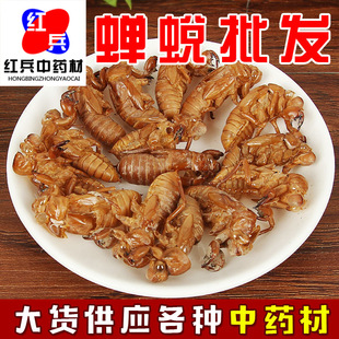 �s͑���l��ș���s͑ ֪�˚� ���x�s͑ ˮϴ�s�¹�������ă��s͑