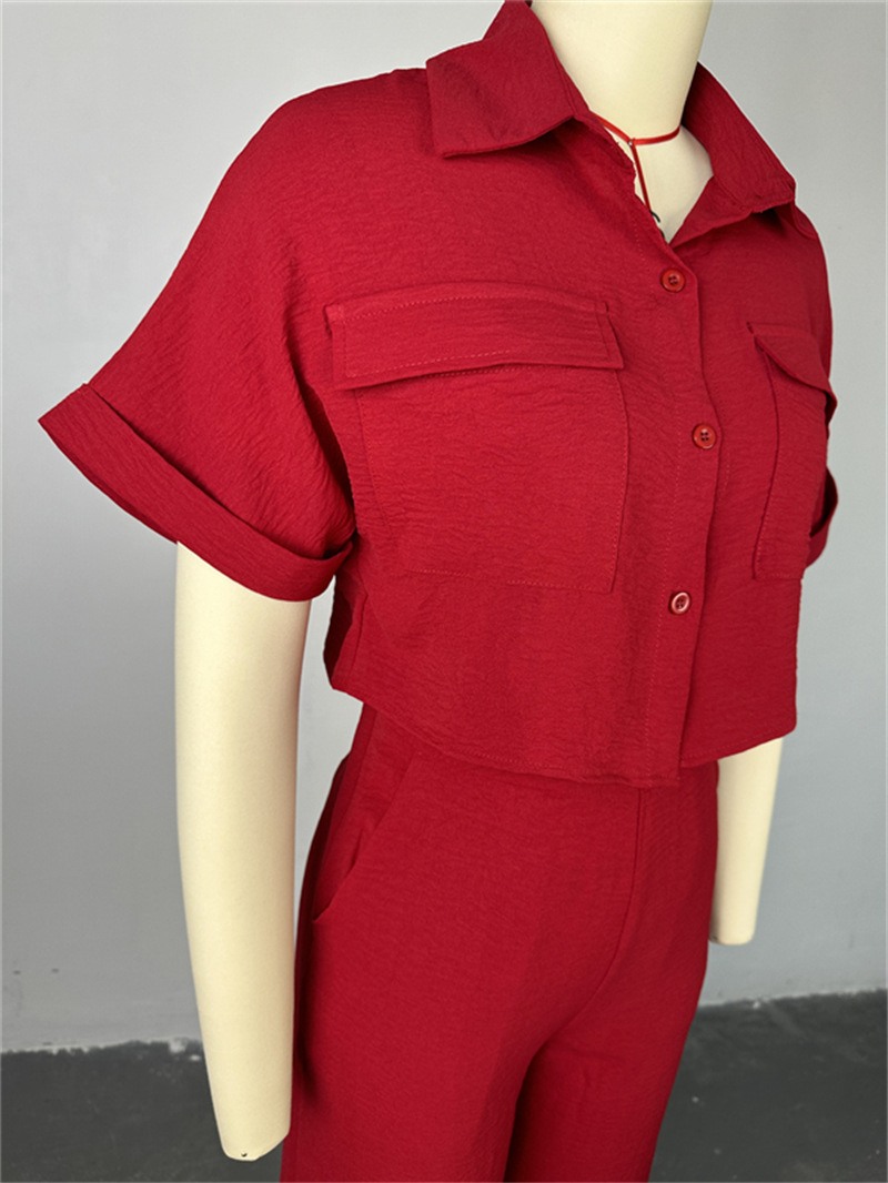 Holiday Daily Women's Casual Solid Color Polyester Button Pant Co-ord Set Pants Sets display picture 3