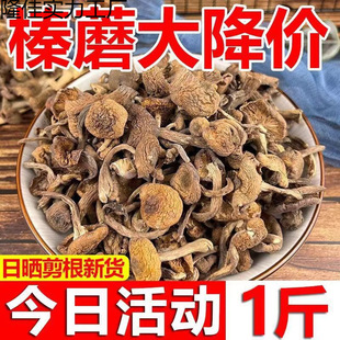 �|���خaҰ���Ģ����؛С�u��Ģ���L��ɽ��Ģ�ؼ��o����؛