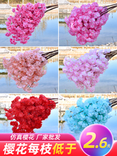 ����ѻ�֦��c�ѻ���÷���һ�֦���ϻ��҃ȿ͏d����̨�����b�