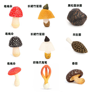 ��ֲͯ��̾�Ұ���������ķ��涾�K�����¶�K������Ģ��ģ�����
