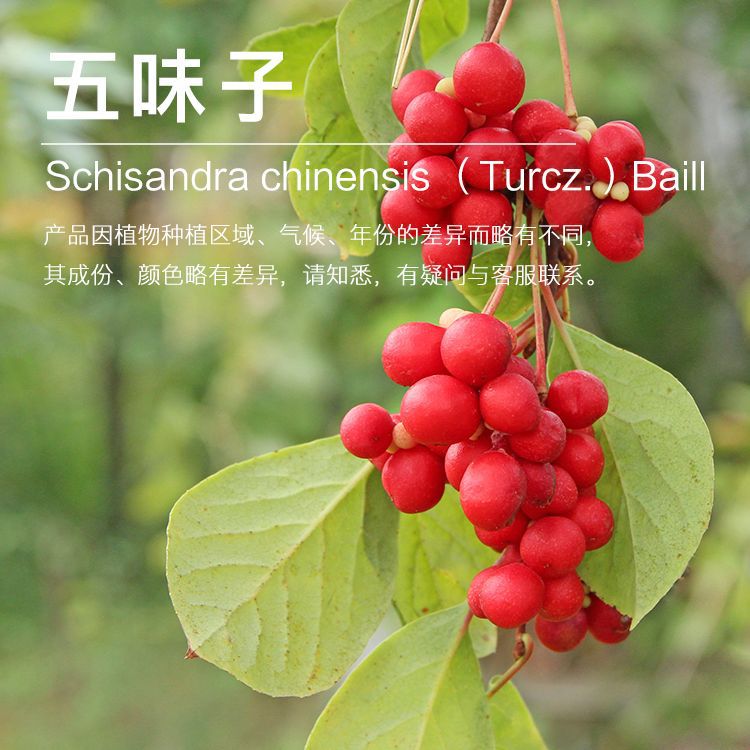 ��Ӧ��ζ����  ���ٽ���ȡ��ζ�� ֲ�ﾫ�ͳ��������������