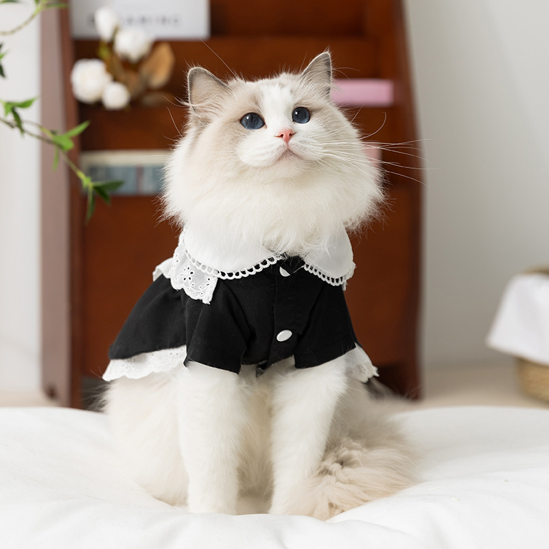 Gato primavera verano princesa estilo JK mucama falda media y pequeña perro estilo universitario perro falda de encaje ropa para perros