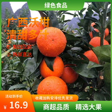 �ָ����r�����֭���ڏV�����x�ָ��ٽ��ӬFժ�F�l���@����ֱ��