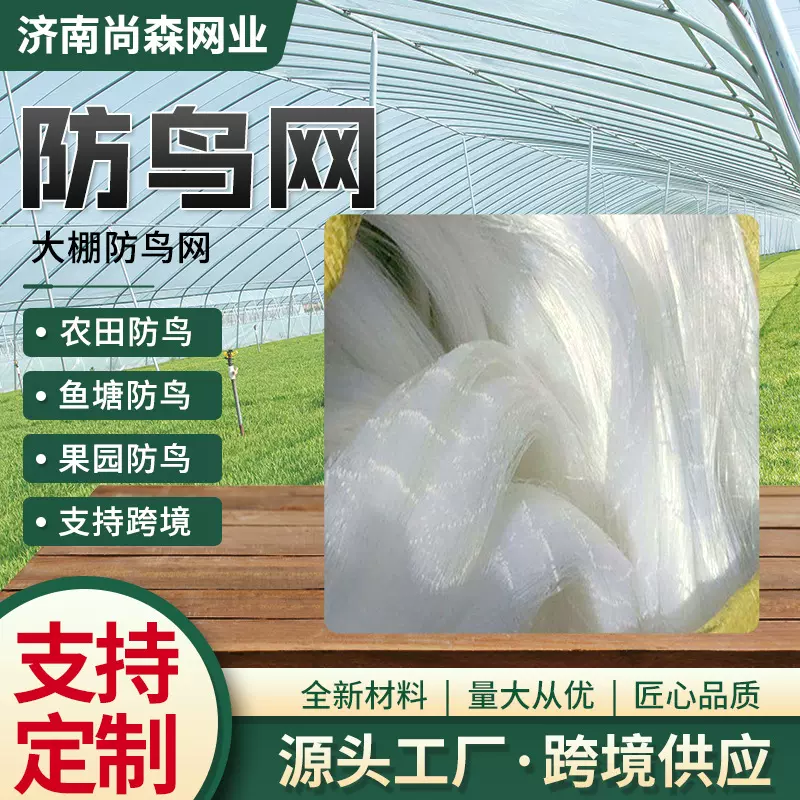 防鸟网跨境透明网大棚防鸟果树防鸟保护网家禽围网防猫坠网防鸟网