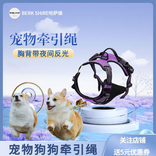 Dog Leash Rabbit Niu Safety Adjustable Bull Terrier Border Collie Bull Mastiff Night Glow Reflective Nylon Harness