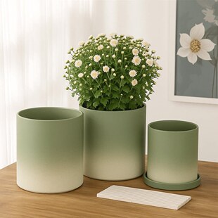 ���s�؟��u׃Ĩ��G�մ�ֱͲ����Gֲ��������͸���̖�ڏ�����