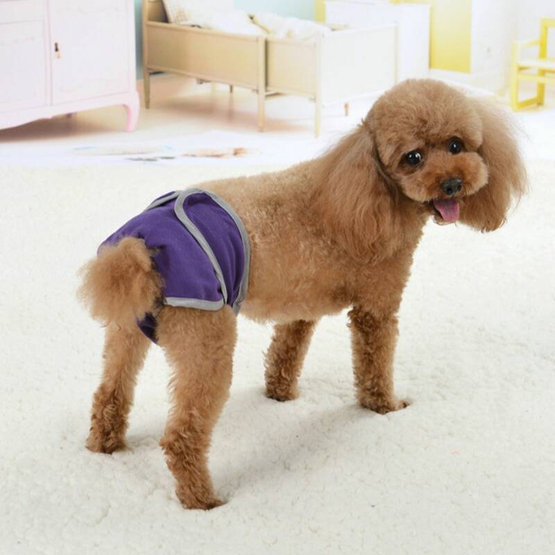 77198c07a34bbc267cdabe4597da2f