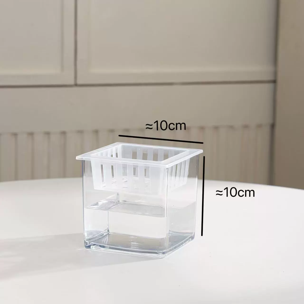 Transparent Square Hydroponic Vase, Desktop Shatterproof Planter, Multiple Sizes (8–30 cm)