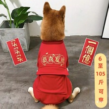 ����ӽq��������tɫϲ�c�·��»�С������Ȯ�^���b̩��Ȯ�����