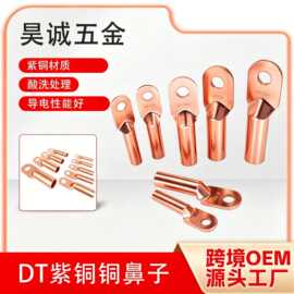 DT铜鼻子紫铜材质 线耳接线端子国标铜鼻子闭口线鼻子铜端子