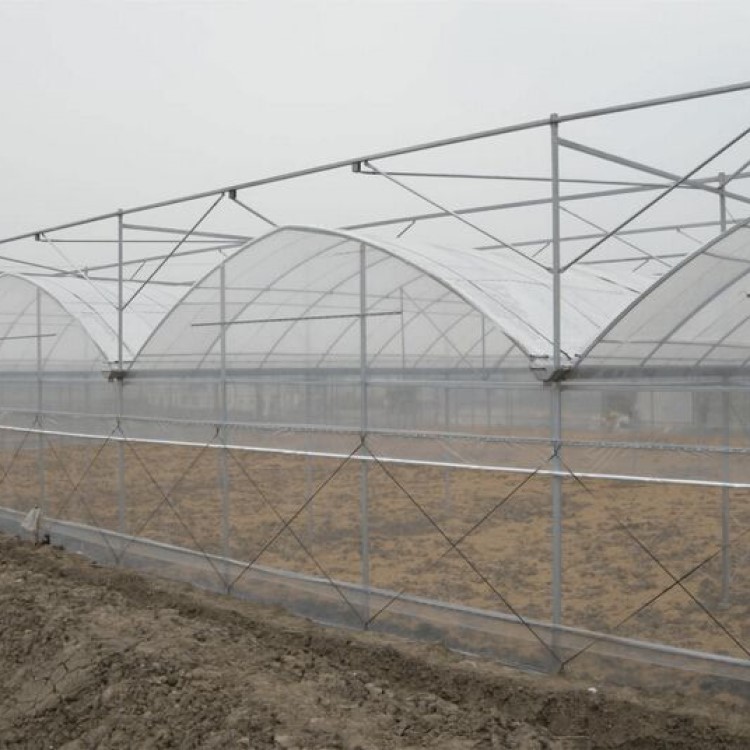 连栋温室 (3).jpg