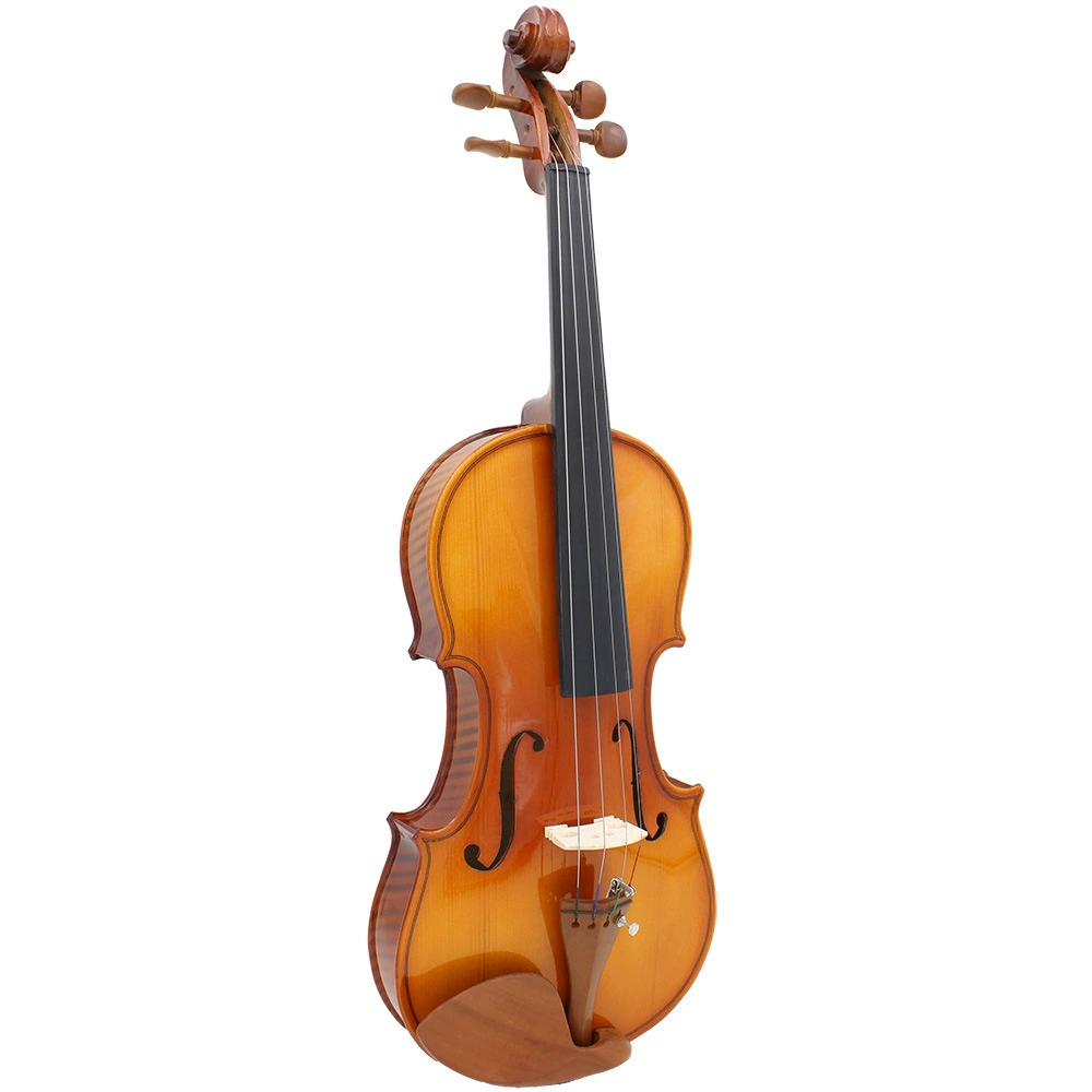Matte violin, professional piano lighting with accessories