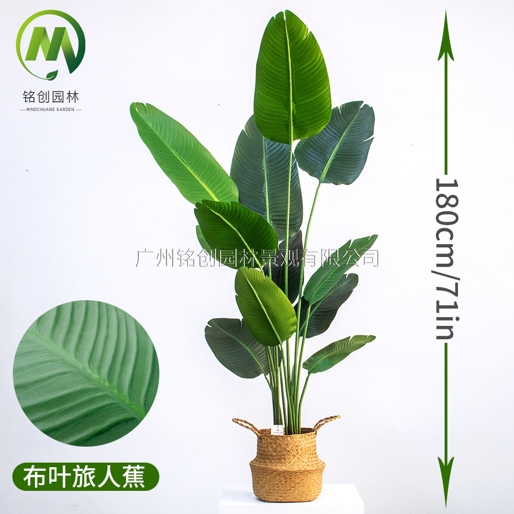Árbol de simulación transfronterizo, plátano viajero, planta en maceta, nueva planta de simulación, pájaro del paraíso, planta verde de simulación de hoja grande, plátano viajero