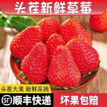 ���ɽ���Ͳ�ݮ���b2.4���ݮ���|99�t�ݮ��I��ُԴ�^�S���l