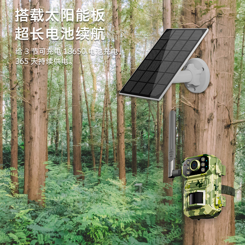 33cfd29d024d421a5eea074a0deed3