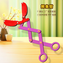 �{�~�Q �ƌW�����ߌW���ֹ�������߲��ϰ��Ƽ�С����diy���b