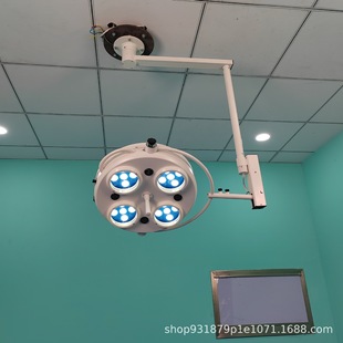 Floor Type Examination Lamp Private Outpatient Hole Lamp Mobile Five Hole Lamp Halogen Lighting Cold Light Source Lamp
