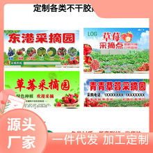 草莓采摘園廣告標簽奶莓香莓蔓越莓藍莓設計貼紙農場不干膠