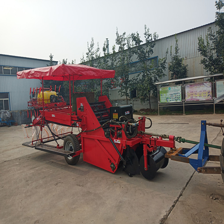 自动装袋机器加人工二次分级型马铃薯收获机红薯收获机wzj