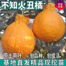 һ�����l��֪���������ϱ���ͥԺ���Ե��Լ޽ӳ�˹ָ̽��Ә���