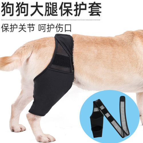 Dog leg injury support front and rear leg protective sleeve breathable adjustable extra support for large dog thigh protective knee pet