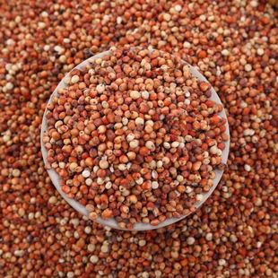 ������؛�|���t������Ƥ����ᄾ�ᄴ�ԭ�ϰ׸���������һ�����l