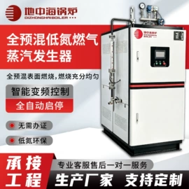 蒸汽发生器;锅炉配附件;燃气锅炉