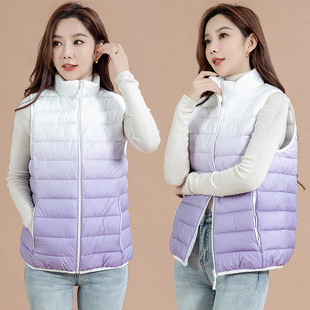 Autumn and Winter Down Cotton Vest Lightweight Vertical Collar Gradient Women's Casual Vest Slim-fit Slimming Warm-keeping Fashionable Interior