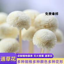 现货4CM印度无心菊通草花无火香薰干花香薰扩香花