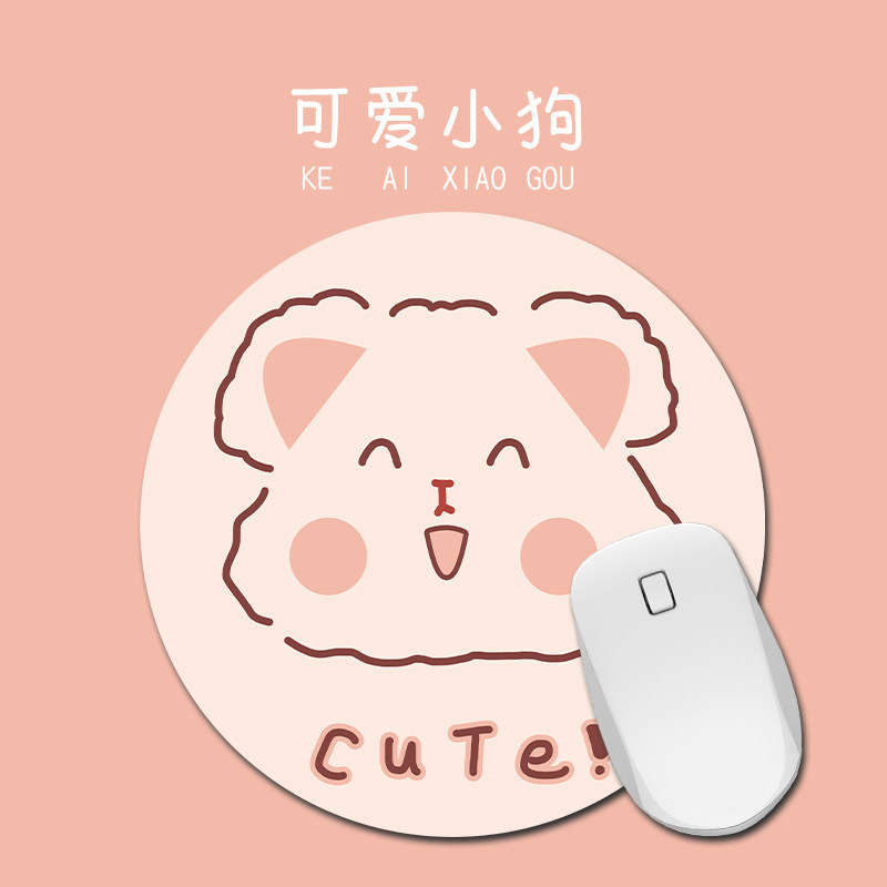 Cute puppy