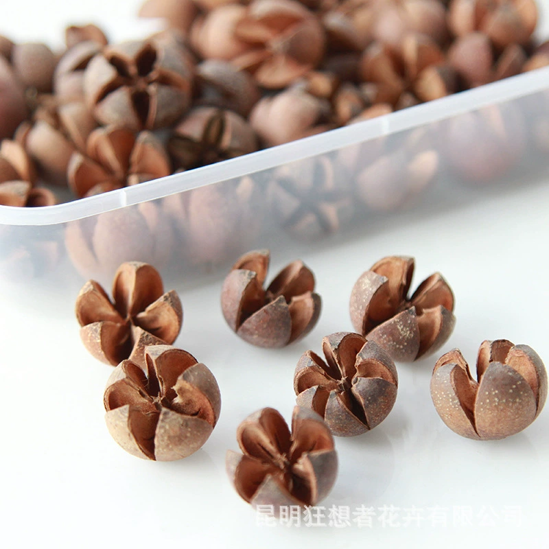 Dry Flower DIY Materials [Dry Fruit] Madman Sommelier Candle Plant Simagon Handmade Class Dry Flower Dry Branches Material