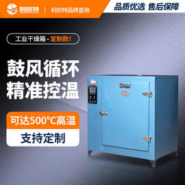 定制工业烘箱塑料颗粒干燥箱自动恒温烤箱鼓风循环实验箱烘干机