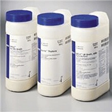 211825�̵��ȵ��״�����������(TSB)500g BD Tryptic Soy Broth