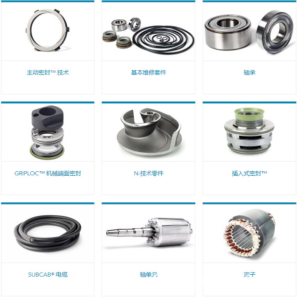 赛莱默飞力基本维修套件 C3351 O型圈包 磨损环 （静/动）等配件