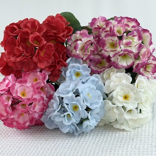 �羳���R�d�L���滨���컨�����ÿ������������҃��b���Ļ�